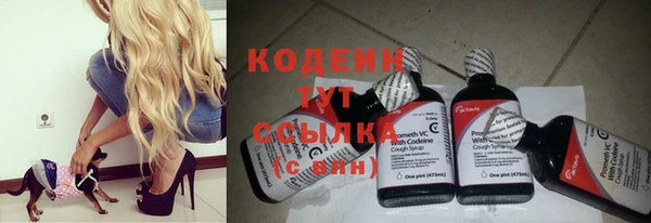 МДПВ Осинники