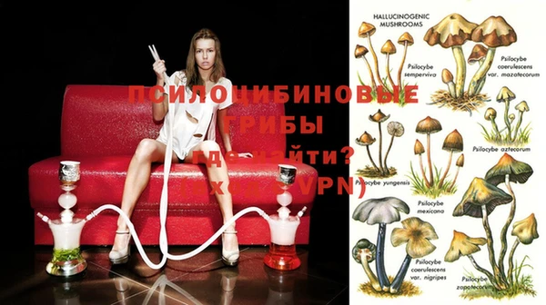 эйфоретик Осташков