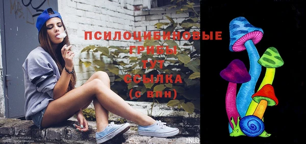 МДПВ Осинники